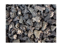 Сморчковая шапочка "Грибная почта"